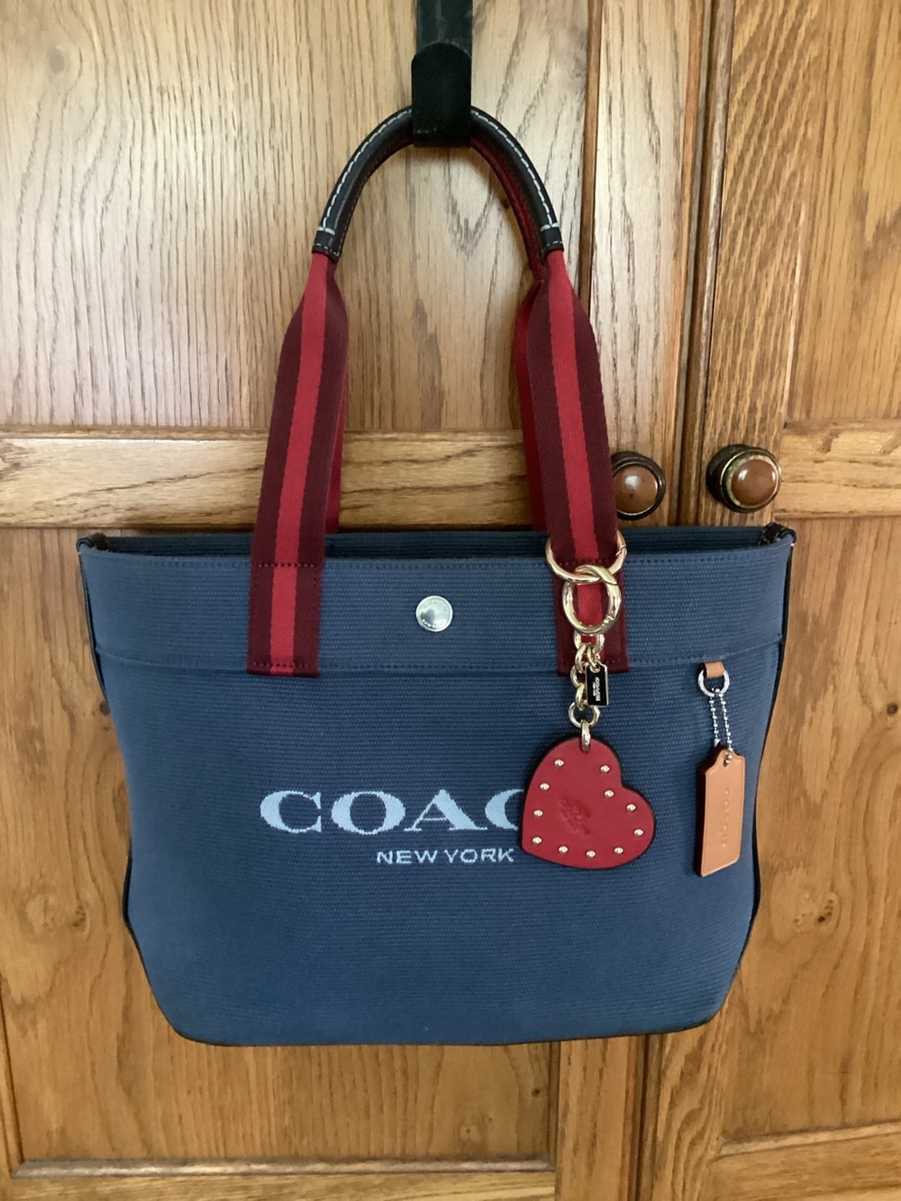Coach Canvas Tote in Denim Multi
